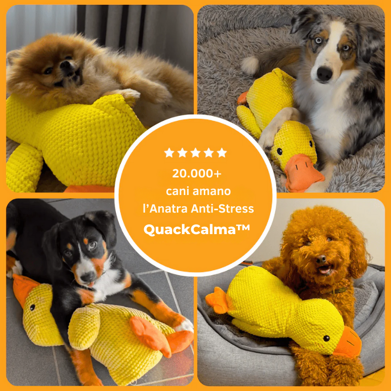 QuackCalma™ - Il compagno che rilassa ogni cagnolino