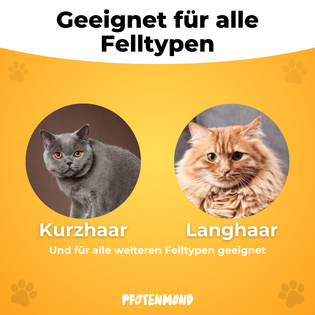 Fellblitz-Bürste - Der Bestseller