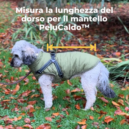 PeluCaldo™ - Il calore che protegge ogni passeggiata