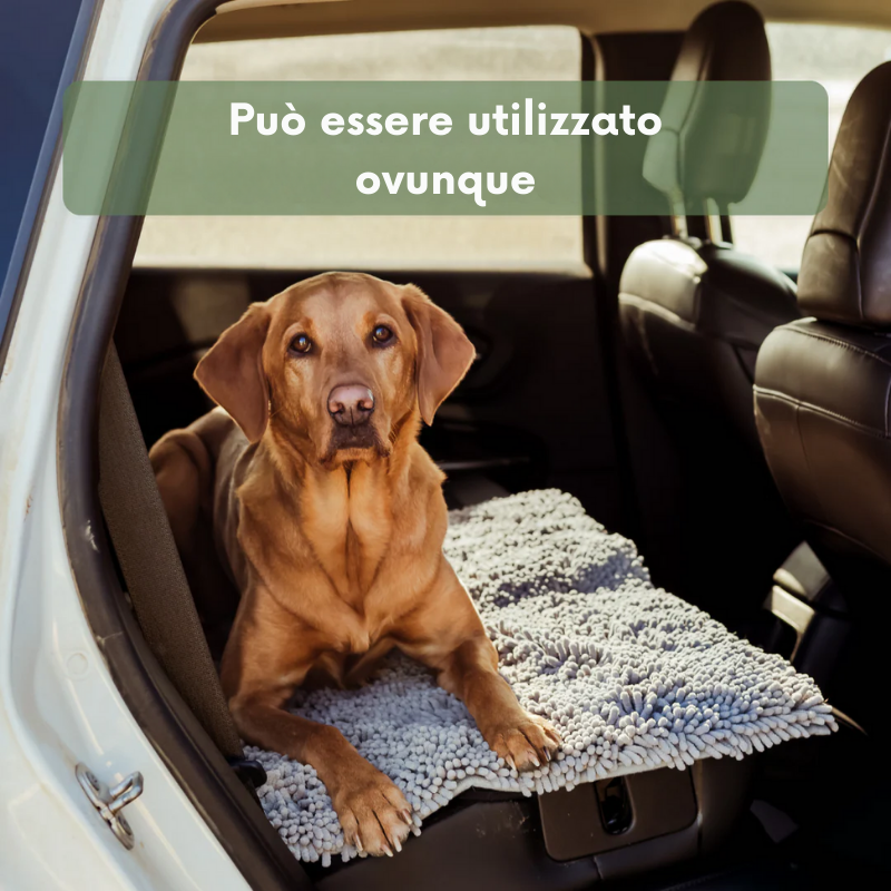 PulisciPaw™ - Assorbe sporco e acqua in un attimo