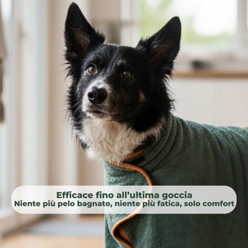 DogDry Lusso - Il benessere del tuo cane, asciutto e protetto