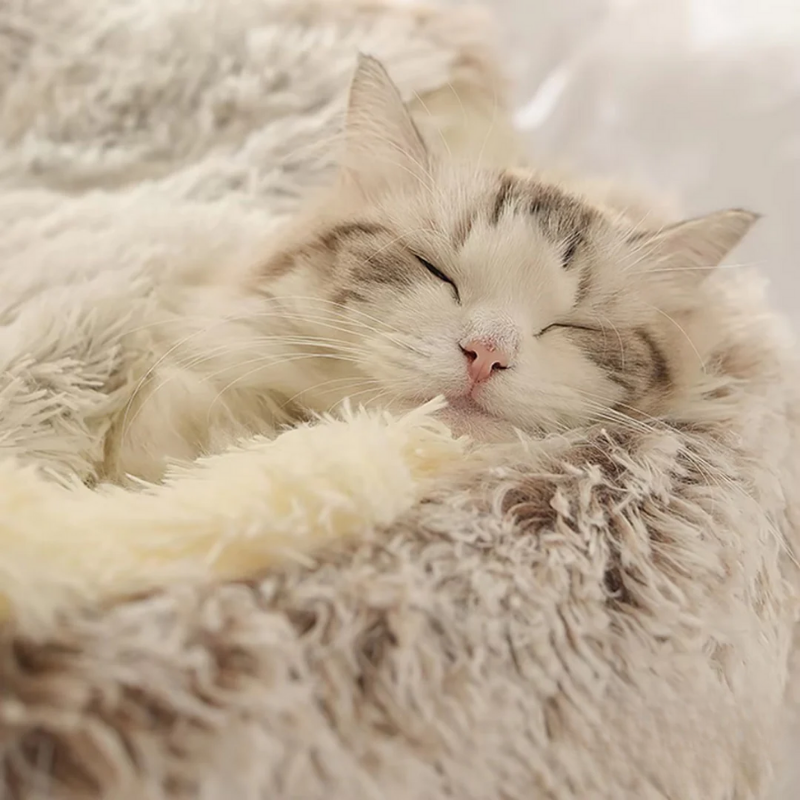 Coccolotto™ – Rifugio Morbido per Cani e Gatti