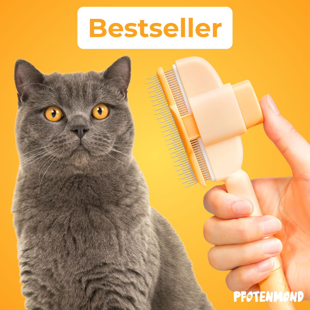 Fellblitz-Bürste - Der Bestseller