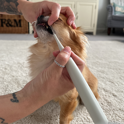 Dentapet™ - Pulitore Dentale Sonico per Cani