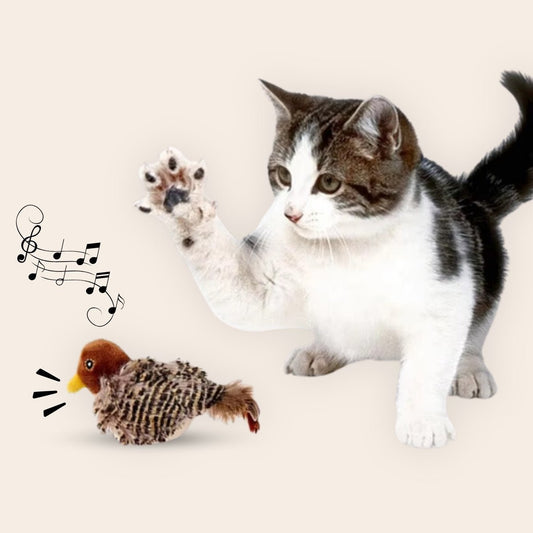 Piumino Vivo™ – Uccellino interattivo per gatti