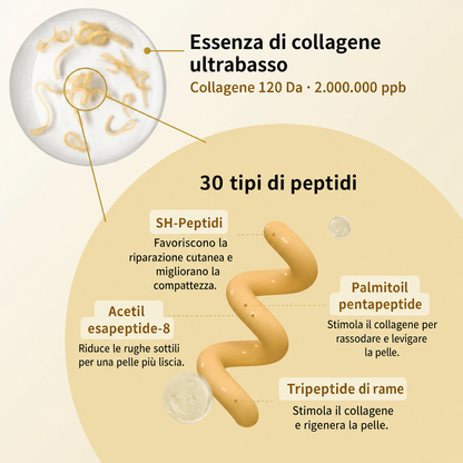 Fiala al collagene e peptidi della seta