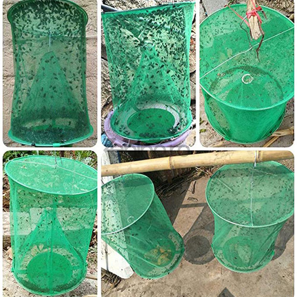 Trappola per insetti da esterno – Proteggi il tuo giardino senza sostanze chimiche