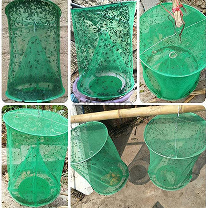 Trappola per insetti da esterno – Proteggi il tuo giardino senza sostanze chimiche