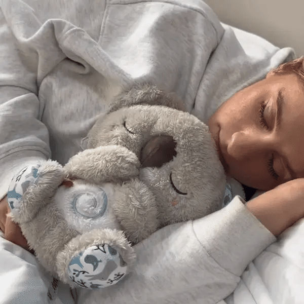 Koala Calmante – Il compagno della calma interiore