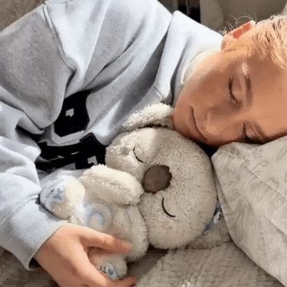 Koala Rilassante – Il tuo alleato per ritrovare la calma