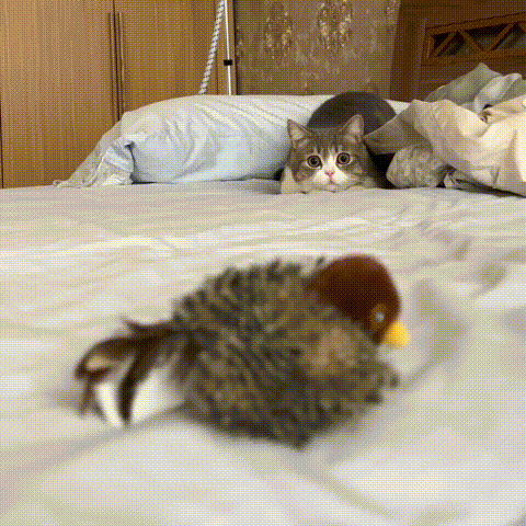 Piumino Vivo™ – Uccellino interattivo per gatti