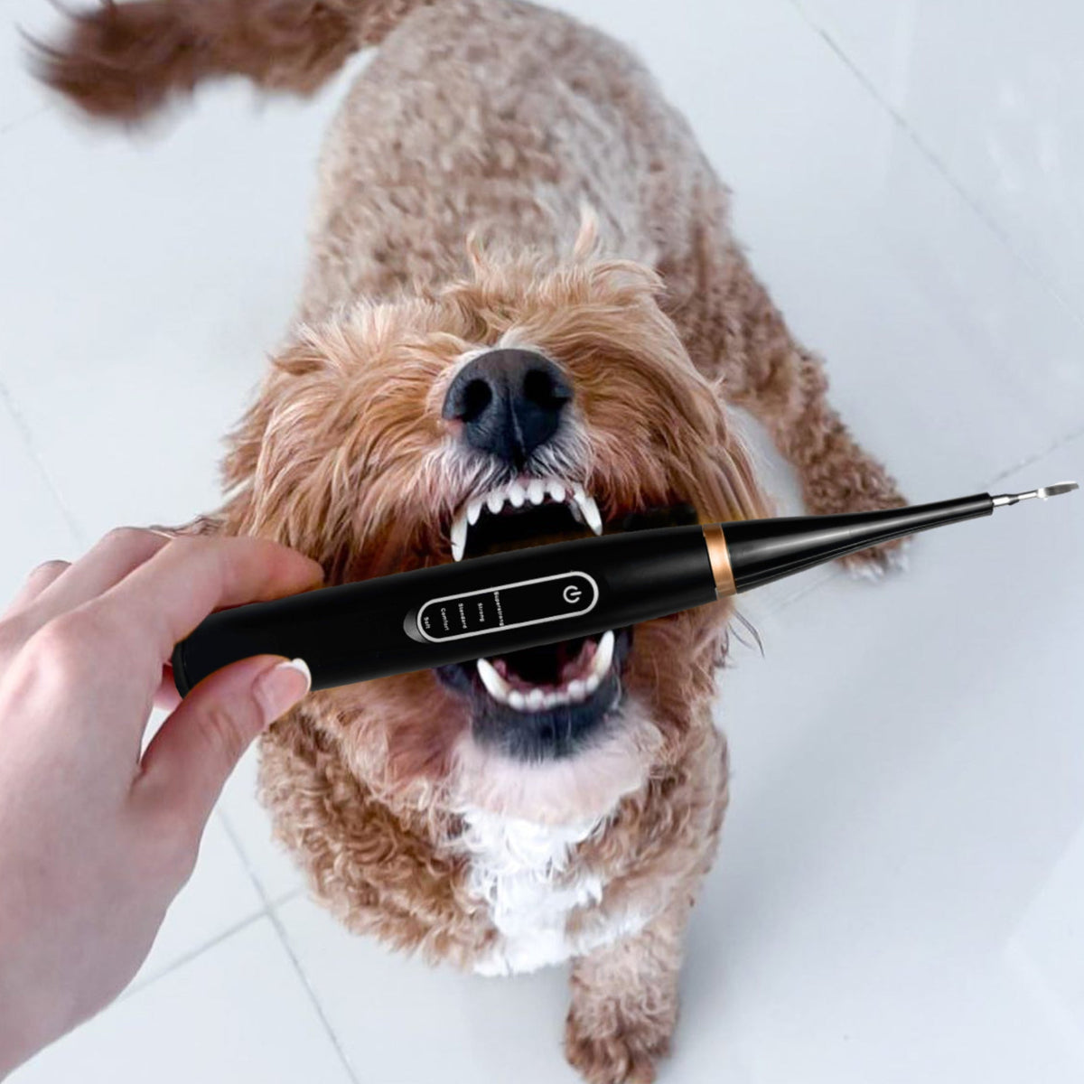 Dentapet™ - Pulitore Dentale Sonico per Cani