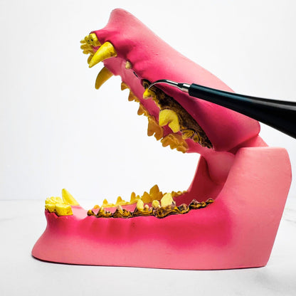 Dentapet™ - Pulitore Dentale Sonico per Cani
