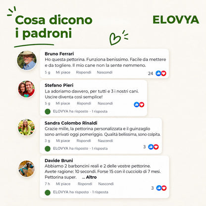 Elovya pettorina antitrazione personalizzata
