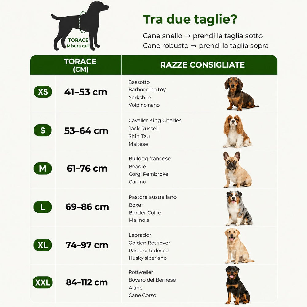 Guida alle taglie