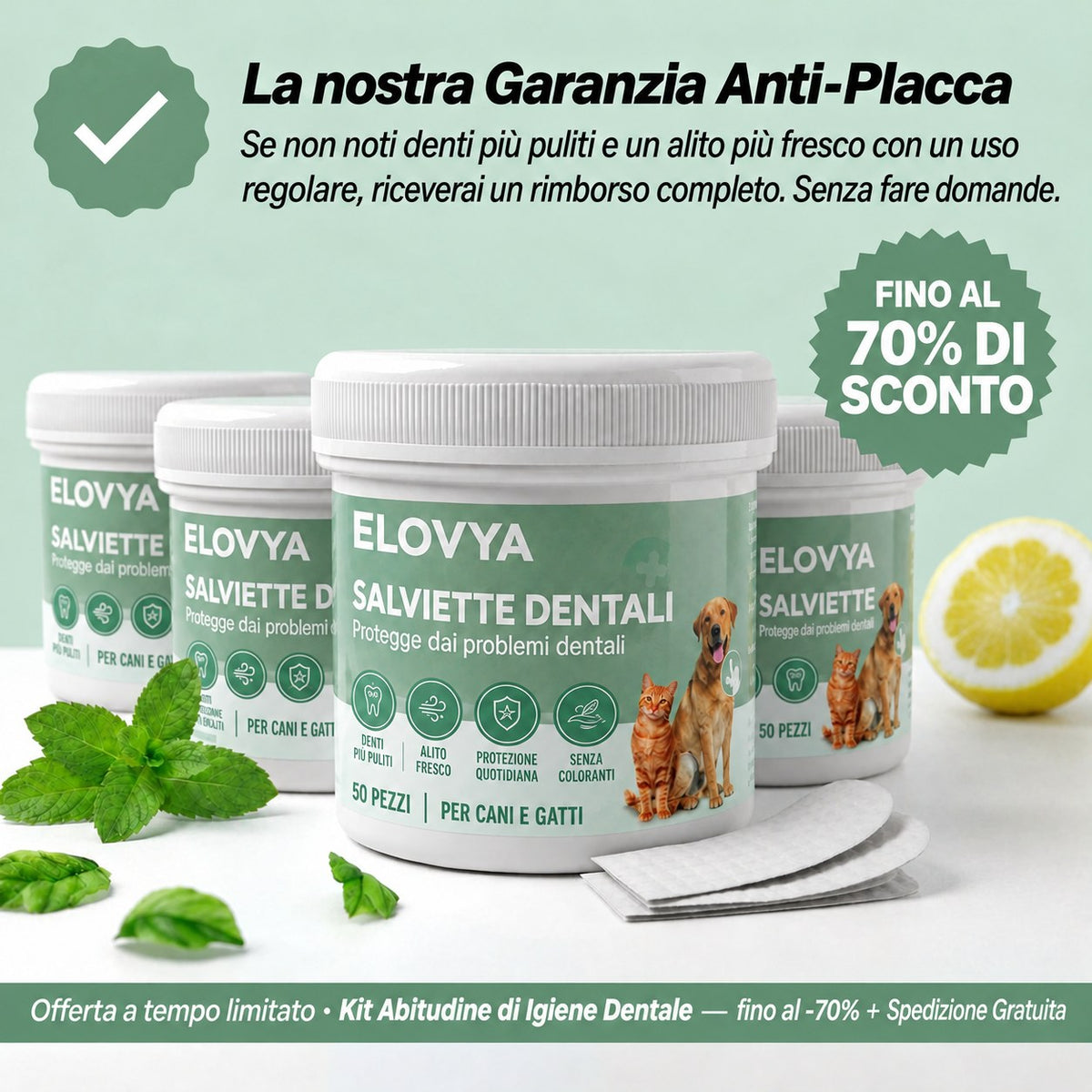 Elovya salviette dentali