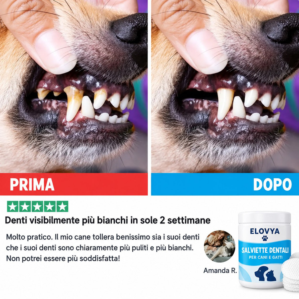Elovya salviette dentali