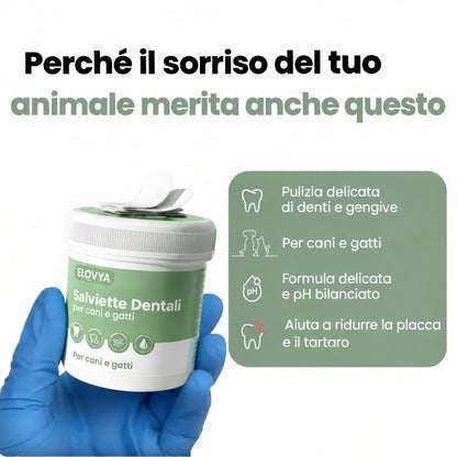 Elovya salviette dentali