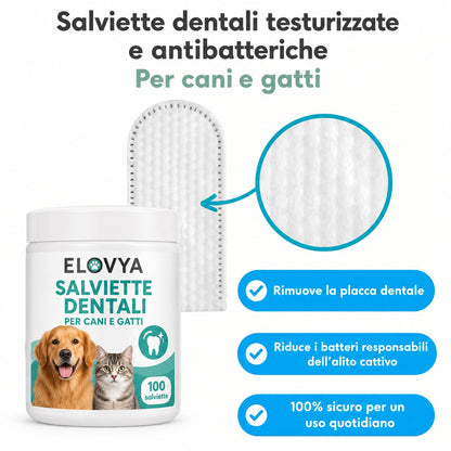 Elovya salviette dentali