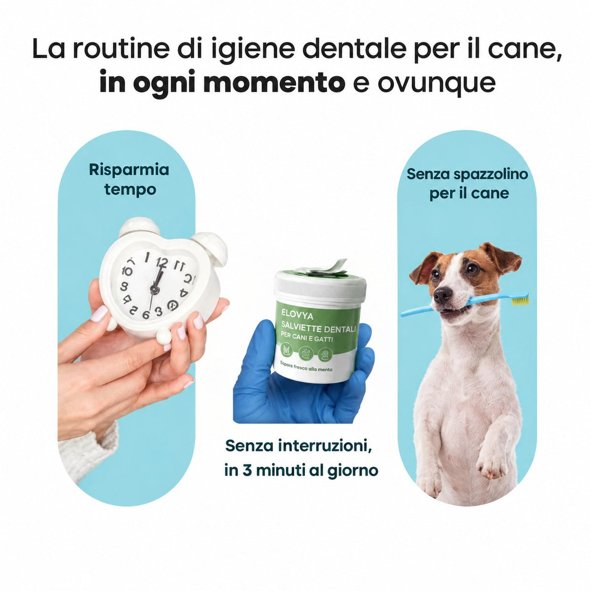 Elovya salviette dentali