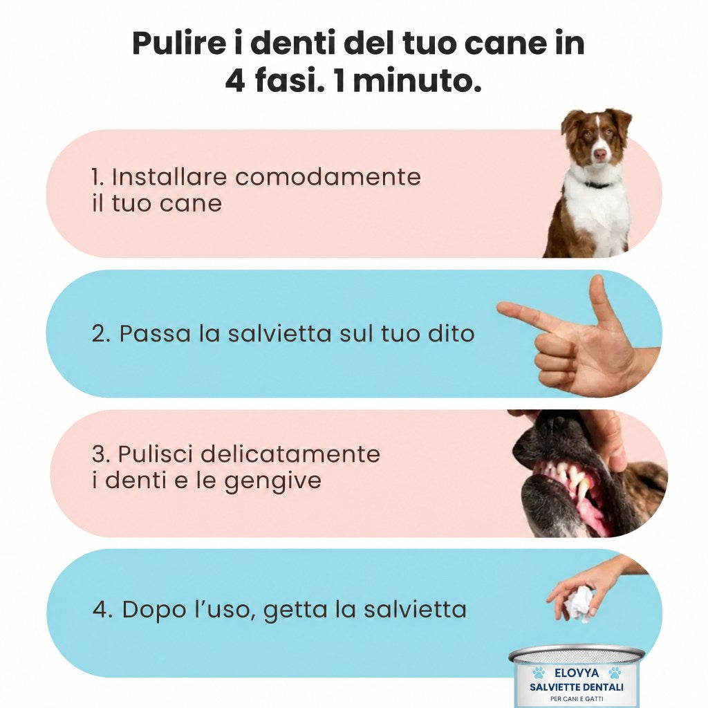Elovya salviette dentali