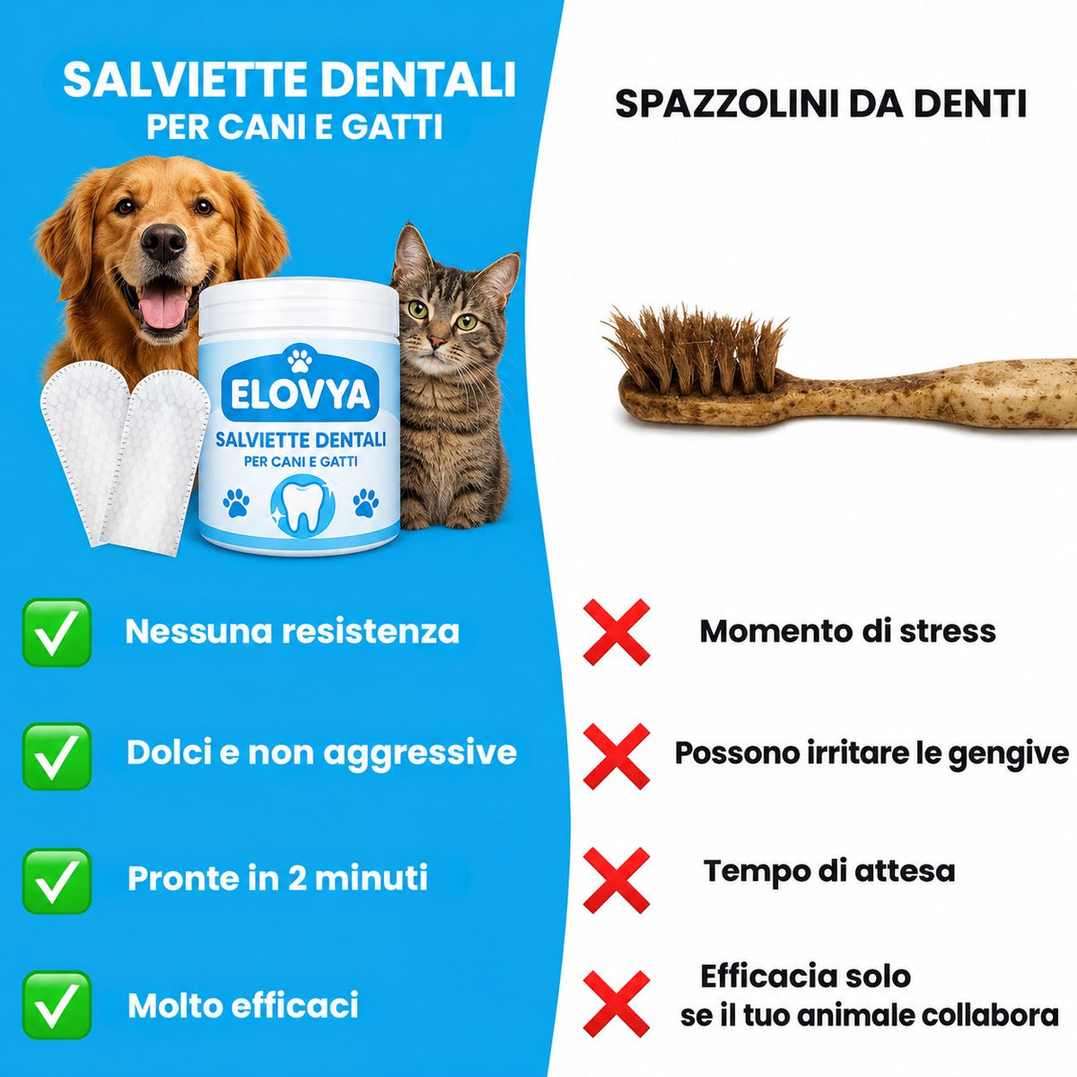 Elovya salviette dentali