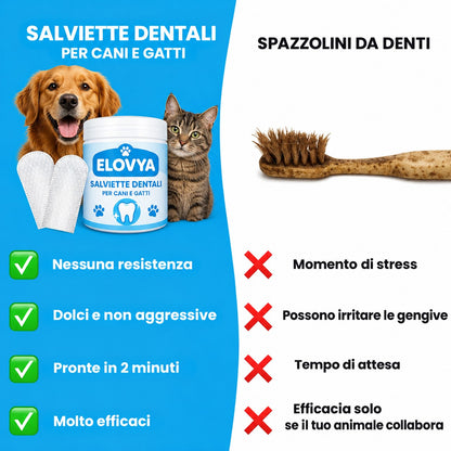 Elovya salviette dentali